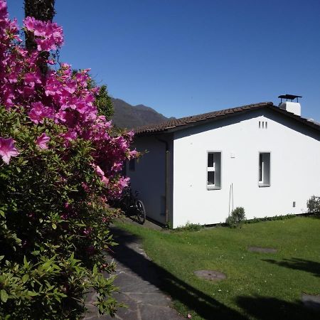 Residenza Paradiso Di Vacanze Minusio Dış mekan fotoğraf