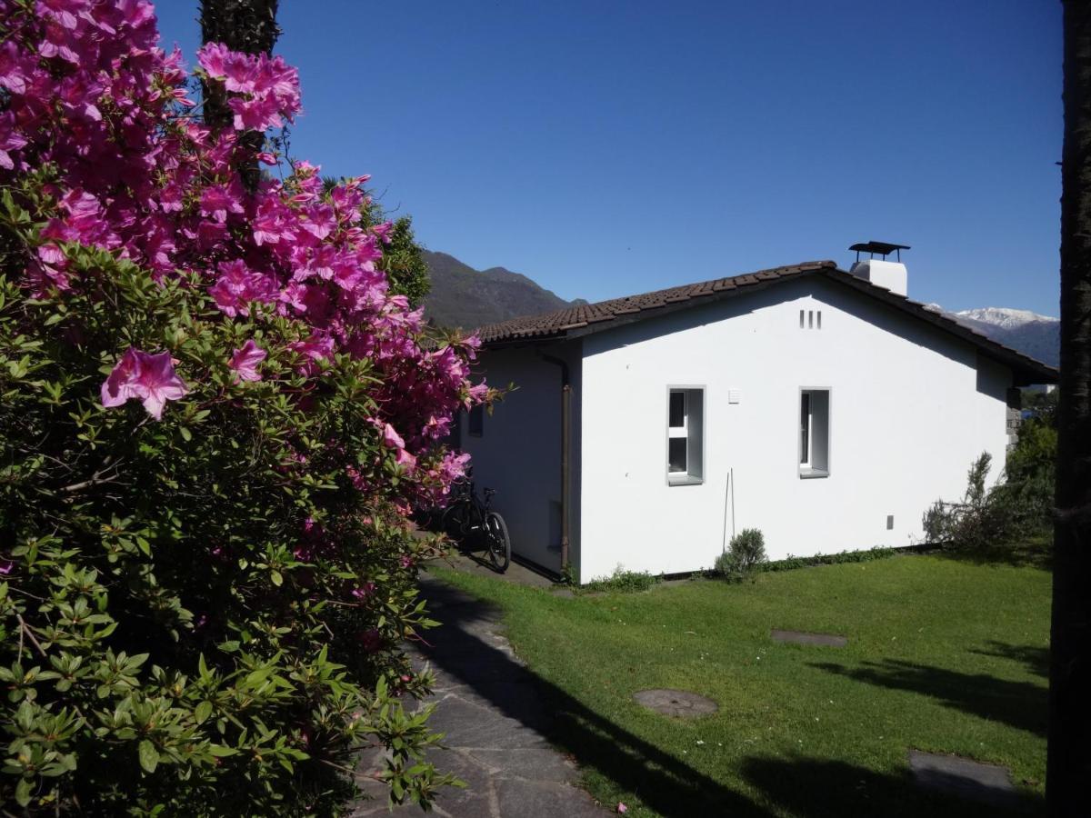 Residenza Paradiso Di Vacanze Minusio Dış mekan fotoğraf