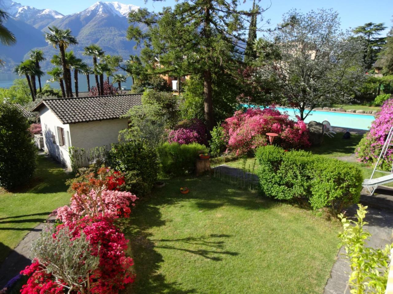 Residenza Paradiso Di Vacanze Minusio Dış mekan fotoğraf