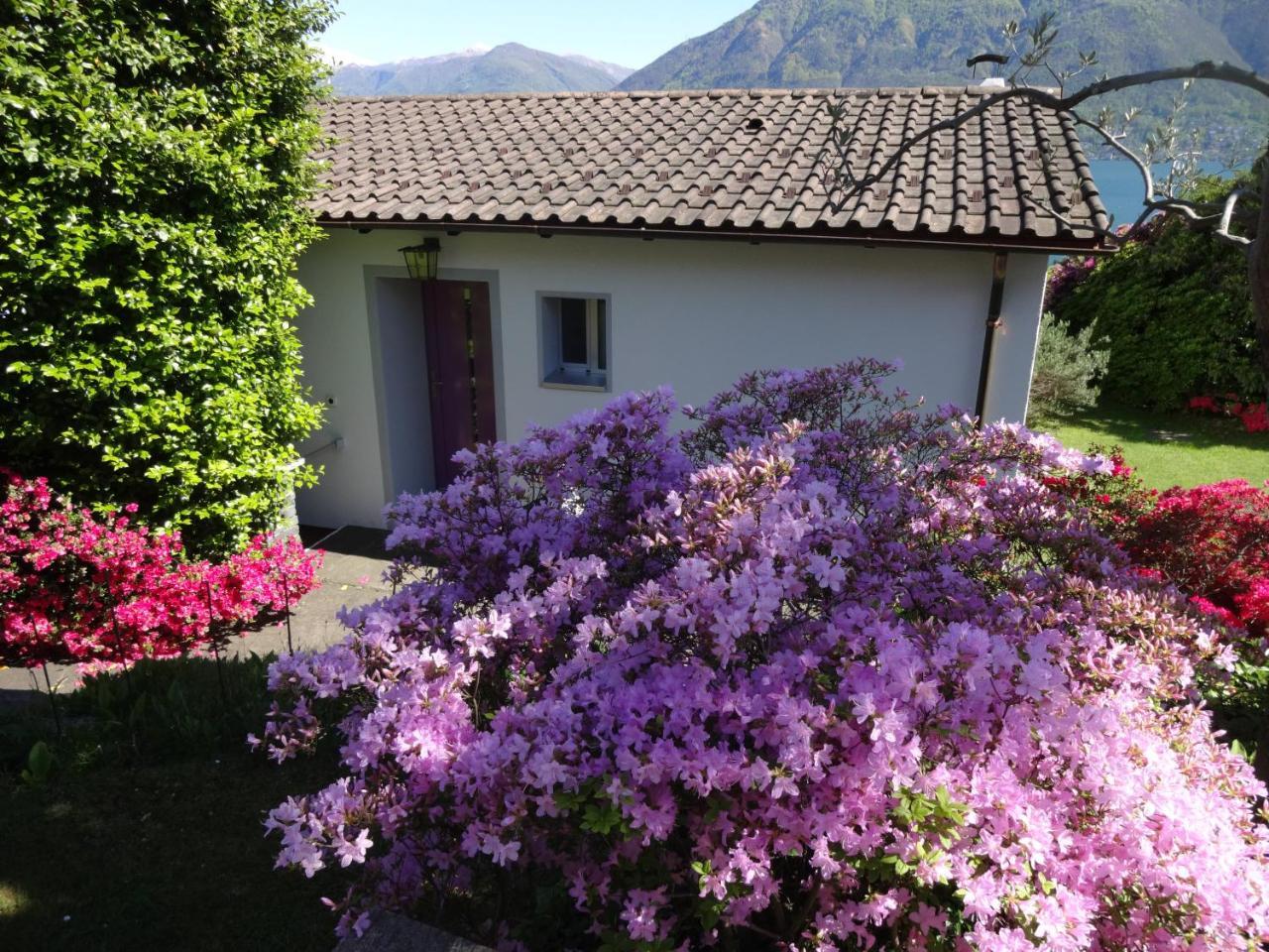 Residenza Paradiso Di Vacanze Minusio Dış mekan fotoğraf